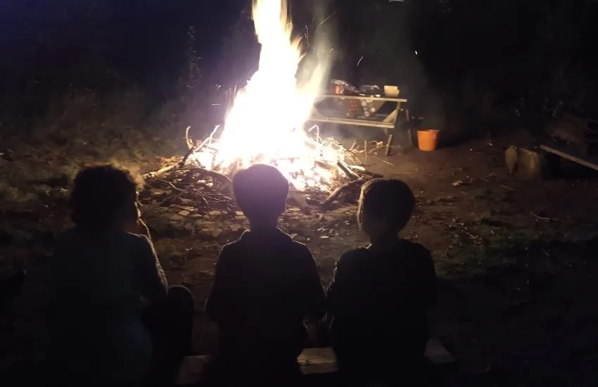beavers sitting by a campfire in the dark