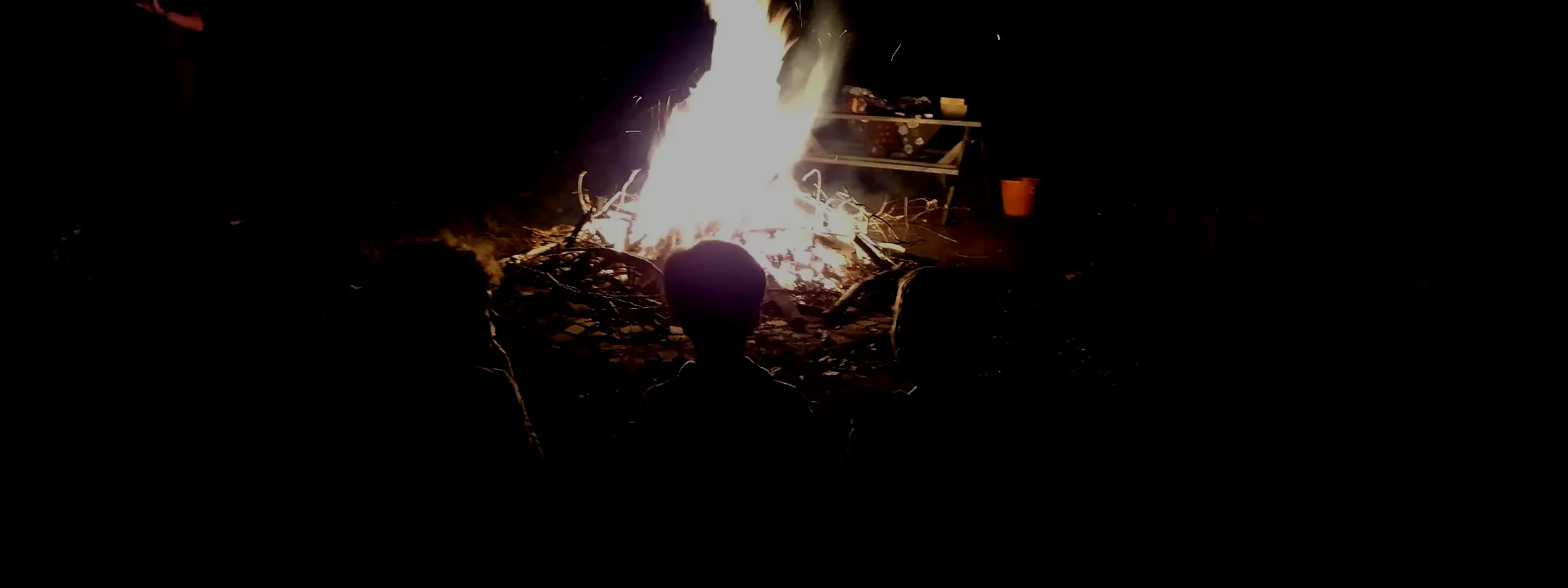 beavers sitting by a campfire in the dark